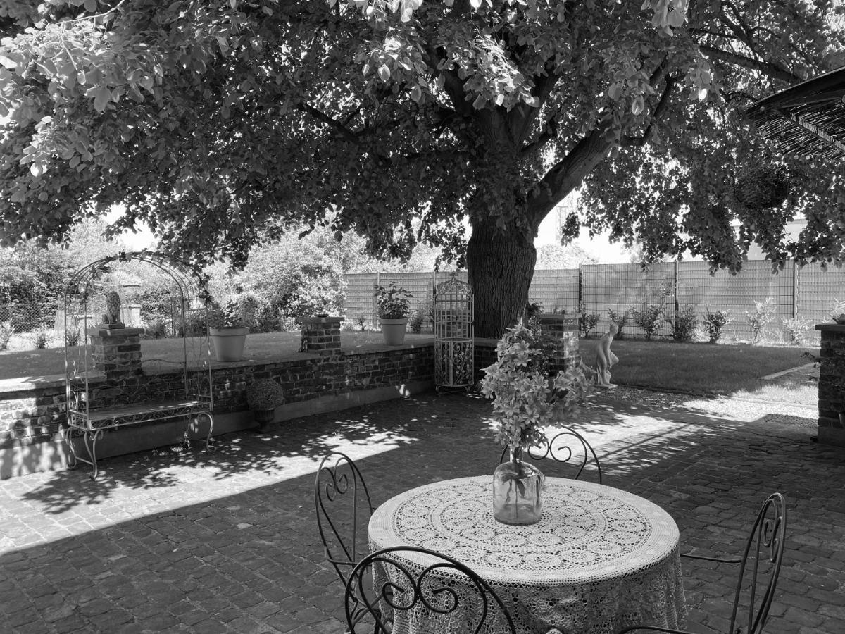 La Villa Des Roses - Suite & Spa Lys-lez-Lannoy Luaran gambar